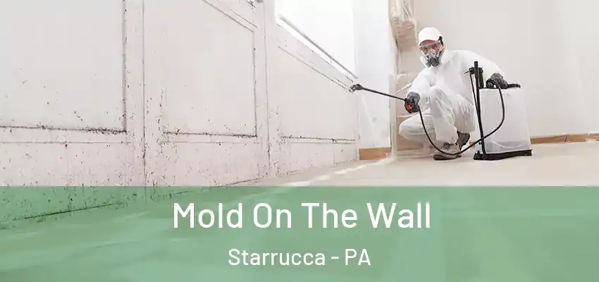 Mold On The Wall Starrucca - PA