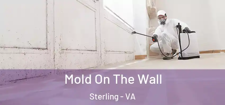 Mold On The Wall Sterling - VA
