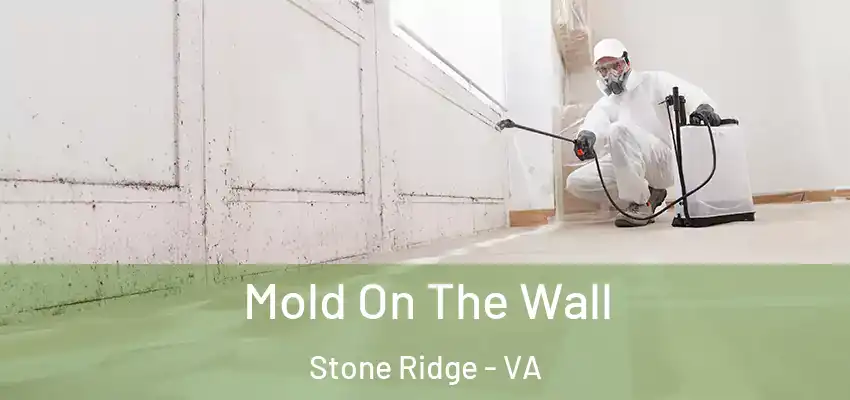  Mold On The Wall Stone Ridge - VA