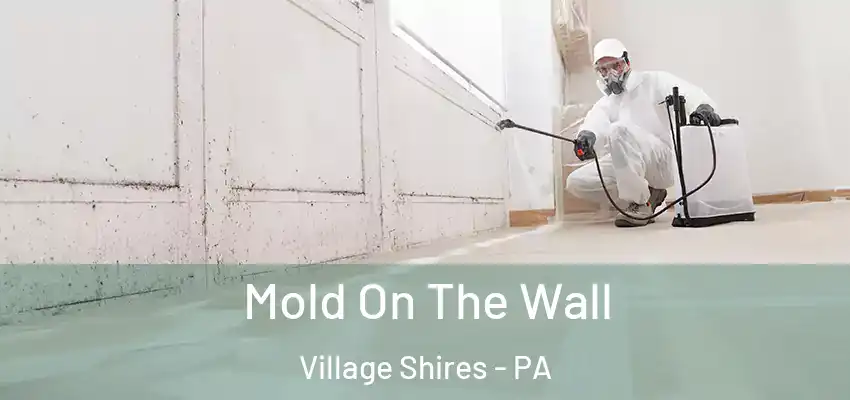 Mold On The Wall Village Shires - PA
