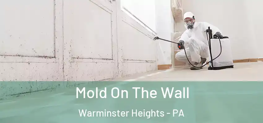 Mold On The Wall Warminster Heights - PA