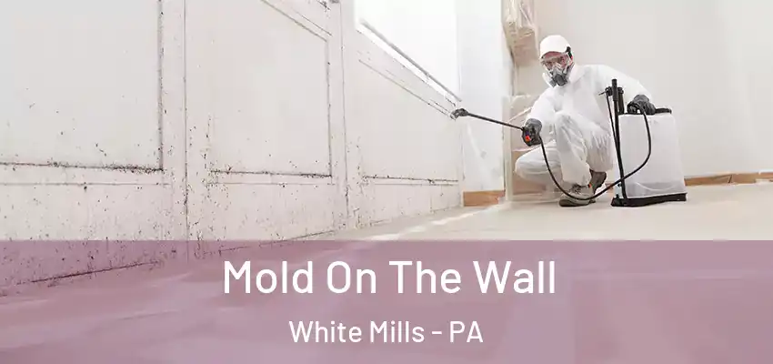 Mold On The Wall White Mills - PA