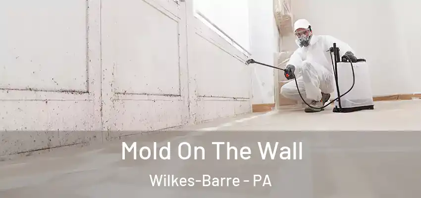 Mold On The Wall Wilkes-Barre - PA
