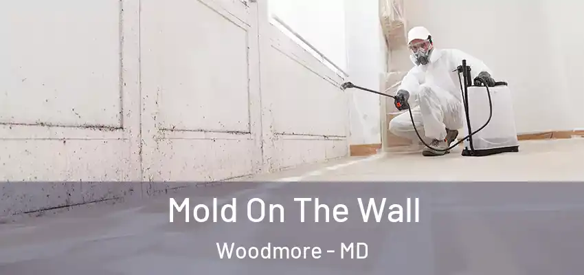 Mold On The Wall Woodmore - MD