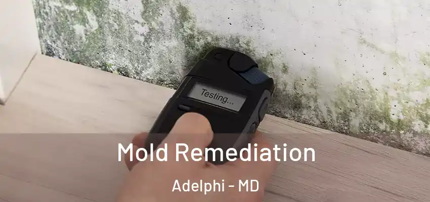  Mold Remediation Adelphi - MD