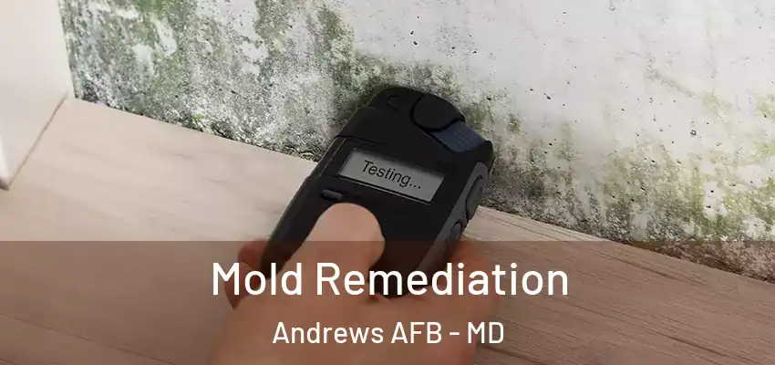  Mold Remediation Andrews AFB - MD