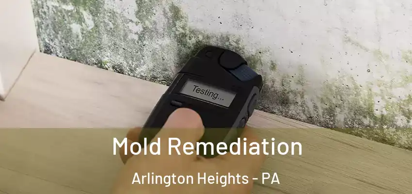  Mold Remediation Arlington Heights - PA