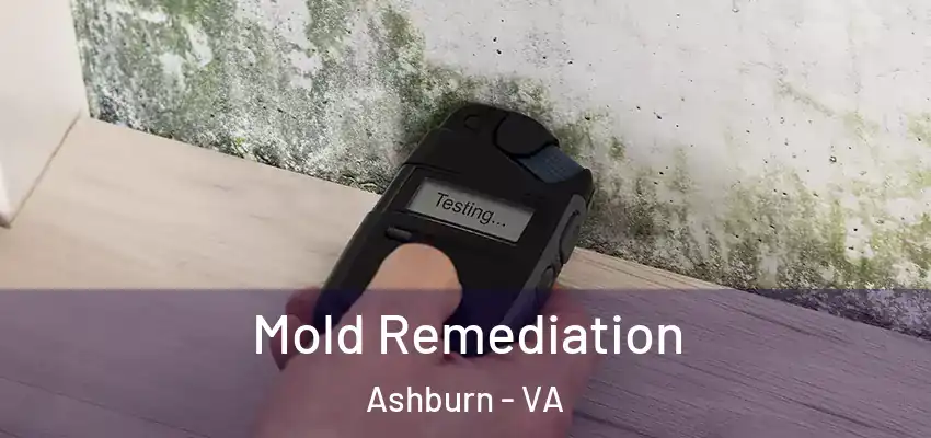  Mold Remediation Ashburn - VA