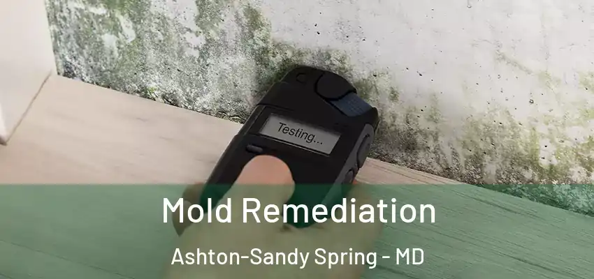  Mold Remediation Ashton-Sandy Spring - MD