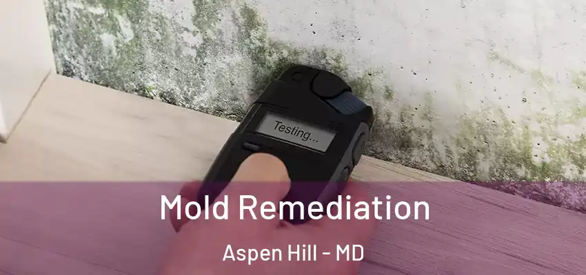  Mold Remediation Aspen Hill - MD