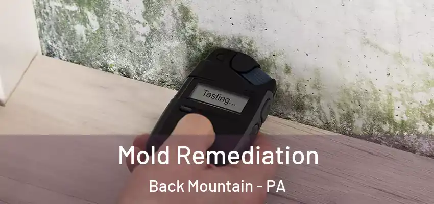 Mold Remediation Back Mountain - PA