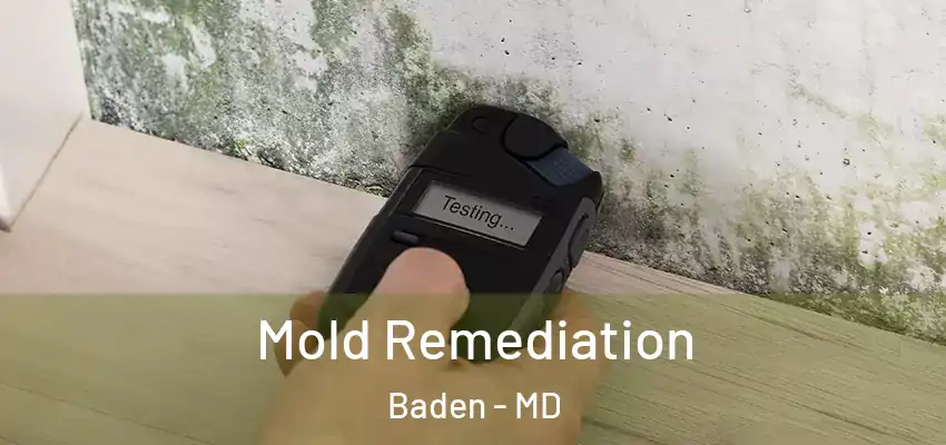  Mold Remediation Baden - MD