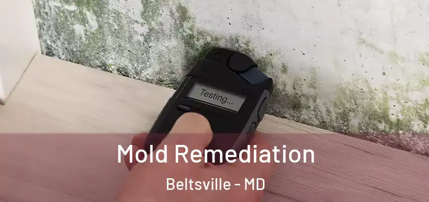  Mold Remediation Beltsville - MD