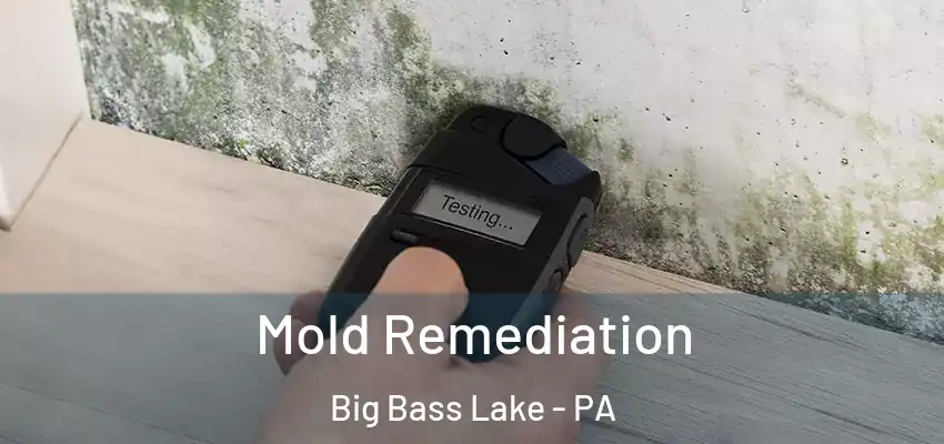  Mold Remediation Big Bass Lake - PA