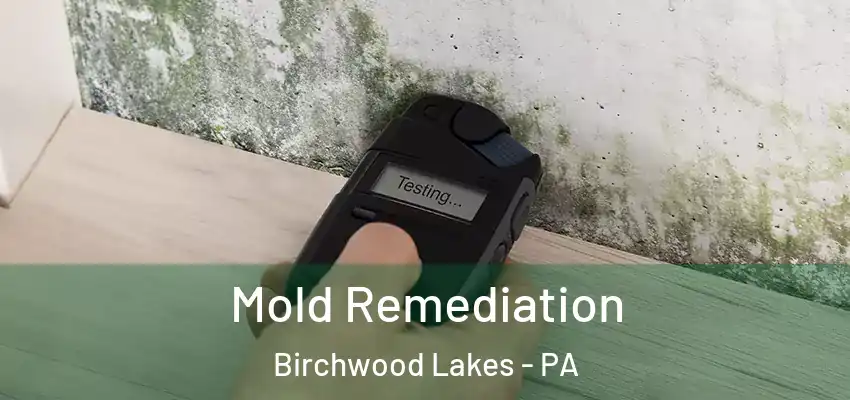  Mold Remediation Birchwood Lakes - PA