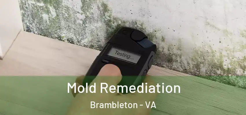 Mold Remediation Brambleton - VA