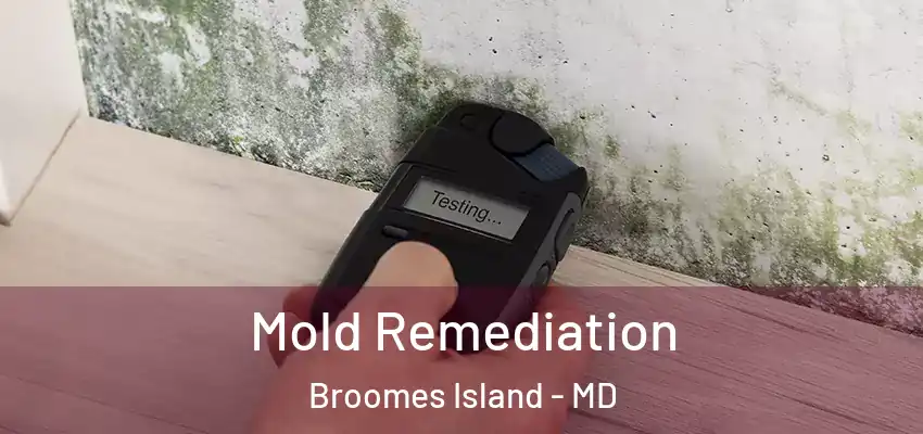  Mold Remediation Broomes Island - MD