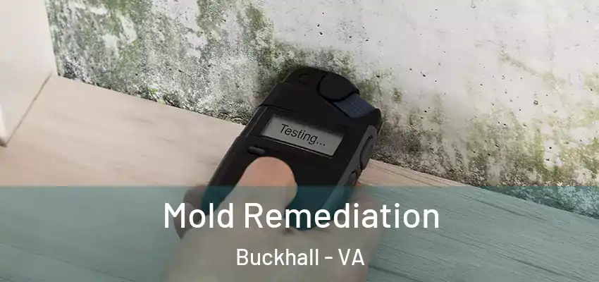 Mold Remediation Buckhall - VA