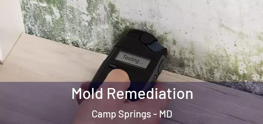  Mold Remediation Camp Springs - MD