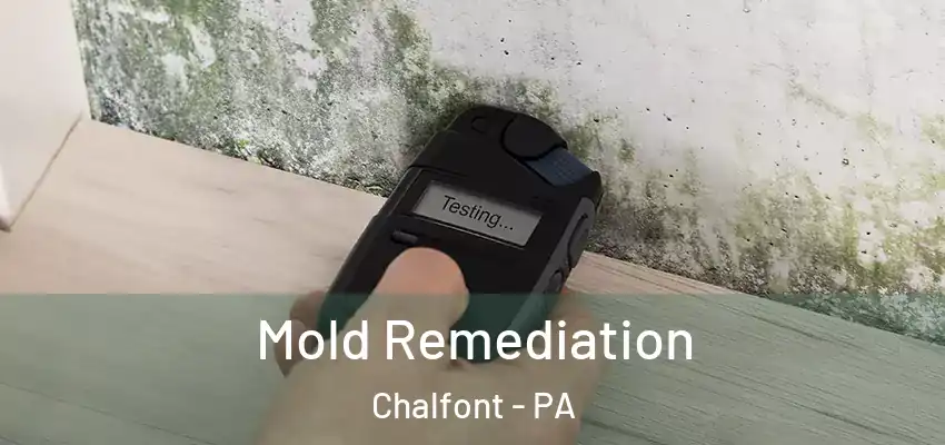  Mold Remediation Chalfont - PA