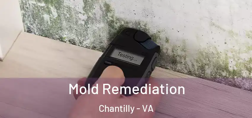 Mold Remediation Chantilly - VA