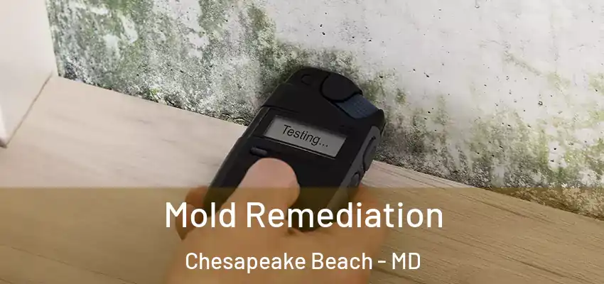  Mold Remediation Chesapeake Beach - MD