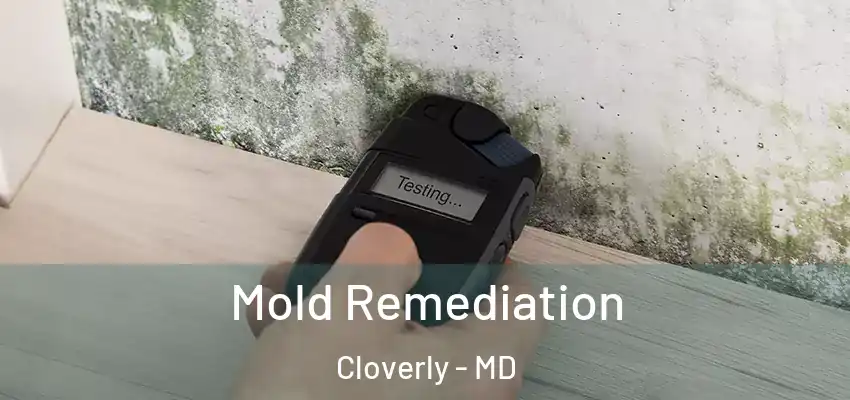  Mold Remediation Cloverly - MD