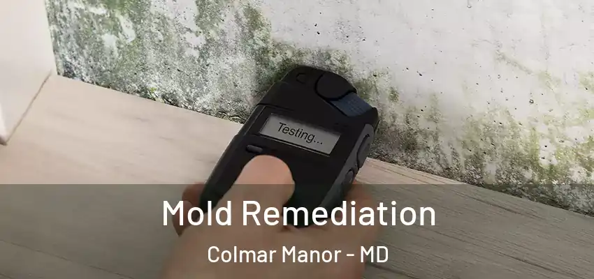 Mold Remediation Colmar Manor - MD