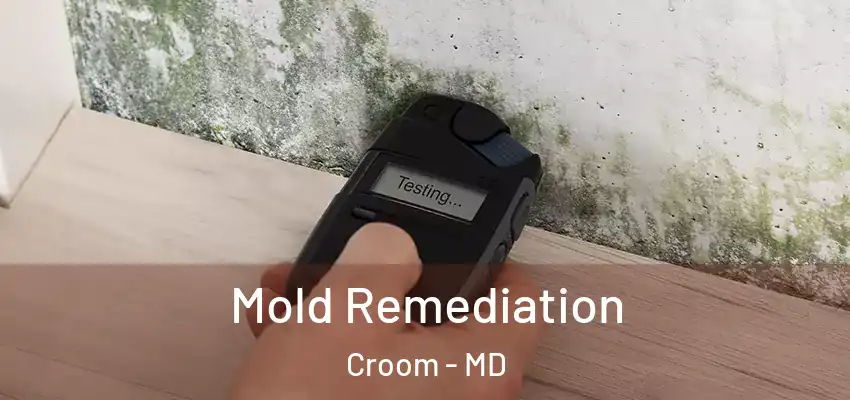  Mold Remediation Croom - MD