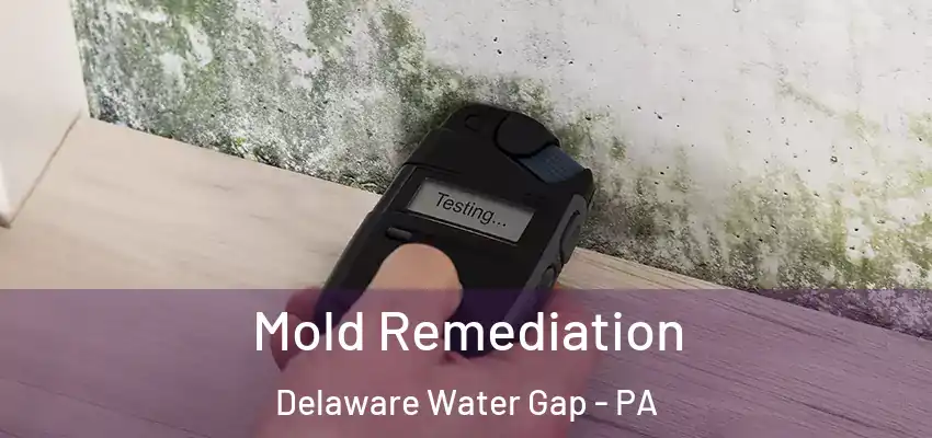 Mold Remediation Delaware Water Gap - PA