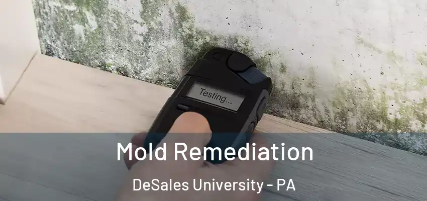Mold Remediation DeSales University - PA