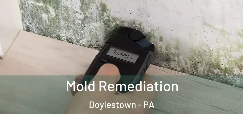 Mold Remediation Doylestown - PA