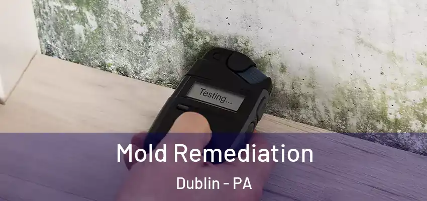  Mold Remediation Dublin - PA