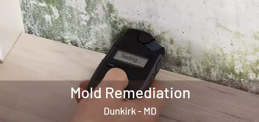 Mold Remediation Dunkirk - MD