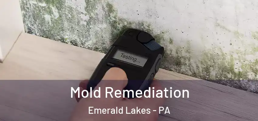 Mold Remediation Emerald Lakes - PA