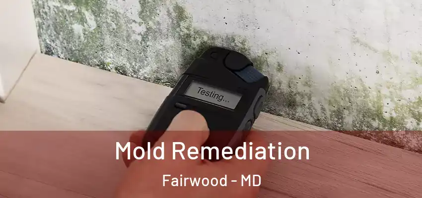 Mold Remediation Fairwood - MD
