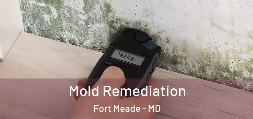Mold Remediation Fort Meade - MD