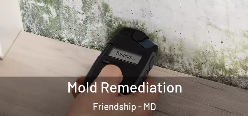 Mold Remediation Friendship - MD