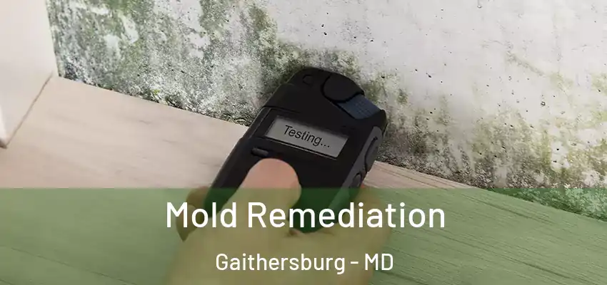 Mold Remediation Gaithersburg - MD