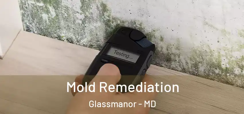 Mold Remediation Glassmanor - MD