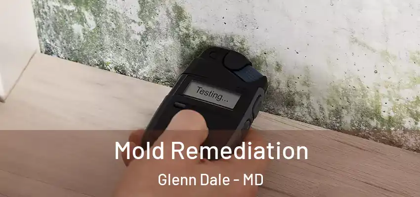  Mold Remediation Glenn Dale - MD