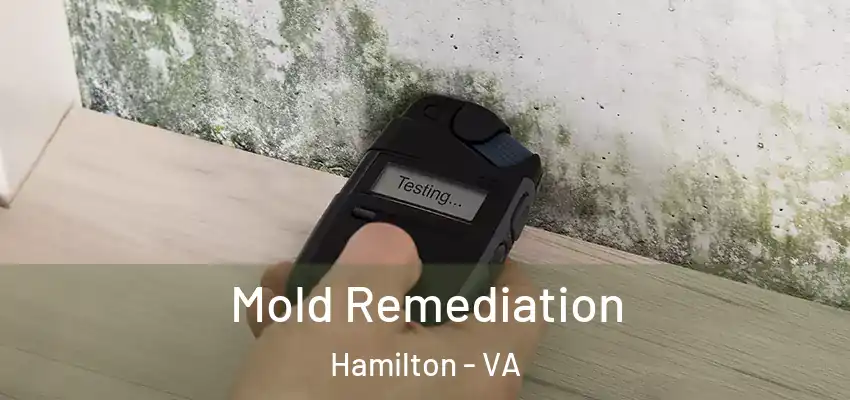  Mold Remediation Hamilton - VA
