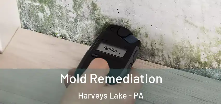 Mold Remediation Harveys Lake - PA