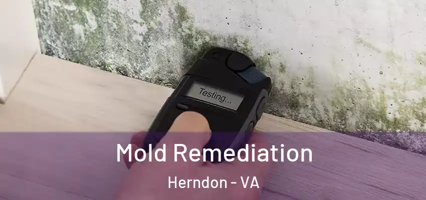 Mold Remediation Herndon - VA