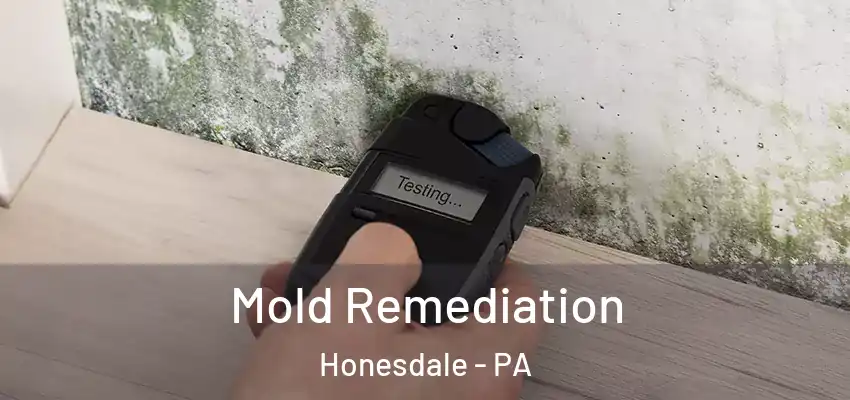 Mold Remediation Honesdale - PA