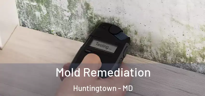 Mold Remediation Huntingtown - MD
