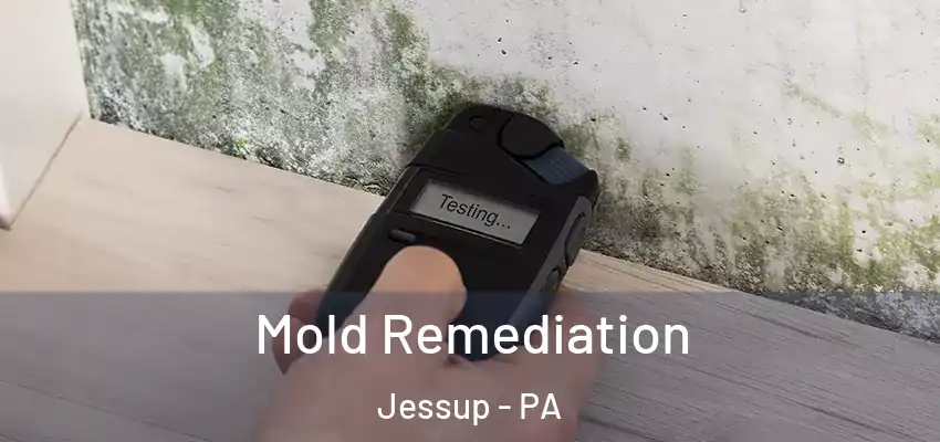  Mold Remediation Jessup - PA