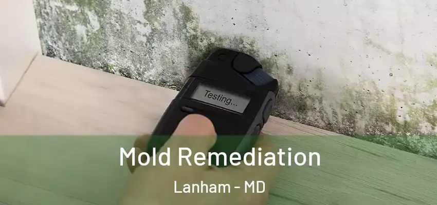 Mold Remediation Lanham - MD