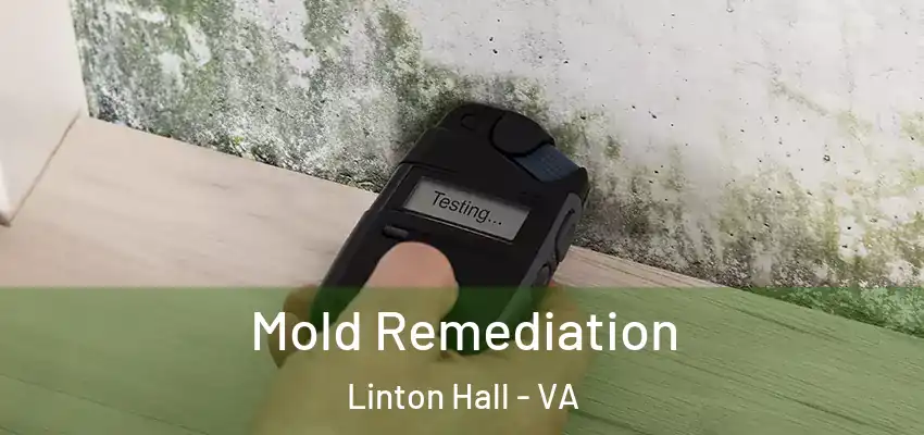  Mold Remediation Linton Hall - VA