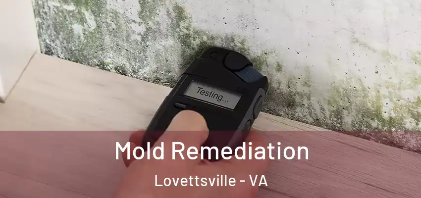  Mold Remediation Lovettsville - VA